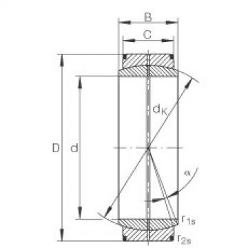 Bearing GE1000-DO INA