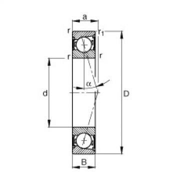 Bearing B7006-C-2RSD-T-P4S FAG