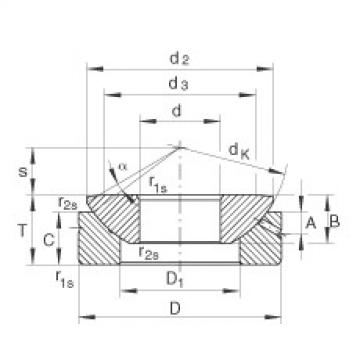 Bearing GE120-AX INA