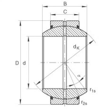 Bearing GE120-FO-2RS INA