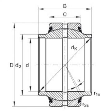 Bearing GE35-HO-2RS INA