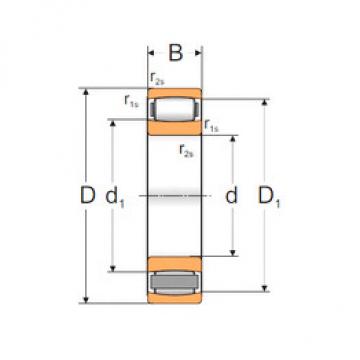 Bearing C2218M MPZ