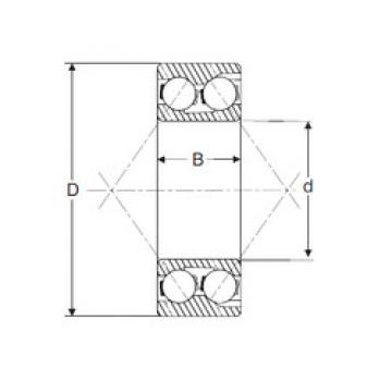 Bearing 3202 SIGMA