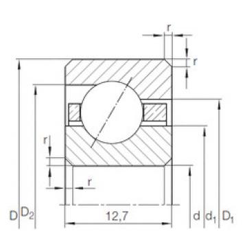 Bearing CSED 1803) INA