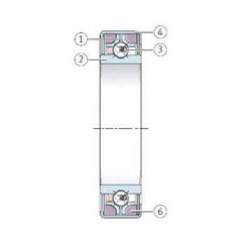 Bearing F-222950.7 INA