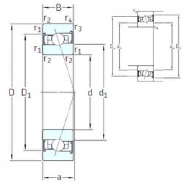 Bearing HB100 /S 7CE3 SNFA