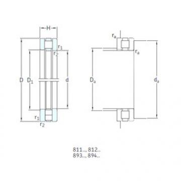 Bearing 81103TN SKF