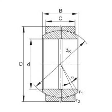 Bearing GE160-DO INA