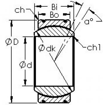 Bearing GE100XT/X AST