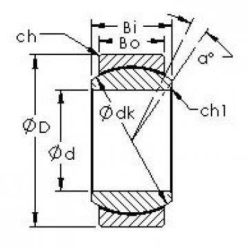 Bearing GE17C AST