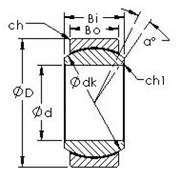 Bearing GE17N AST