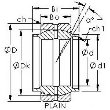 Bearing GEEW100ES AST