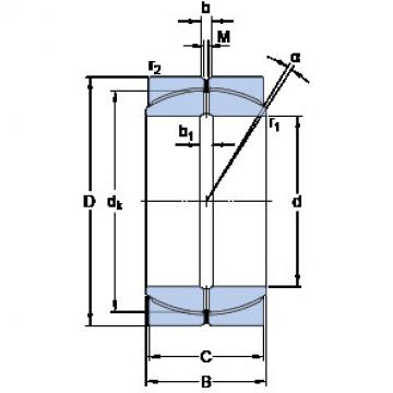 Bearing GEP 110 FS SKF