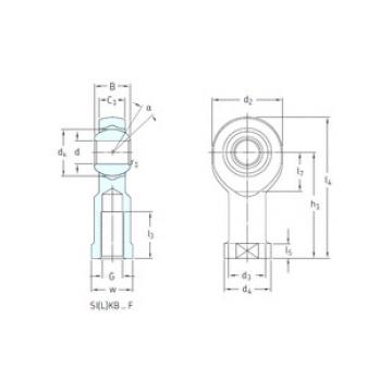 Bearing SIKB10F SKF