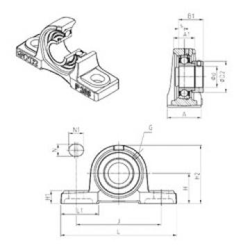 Bearing ESP201 SNR