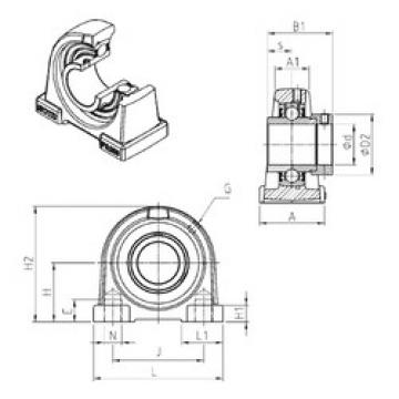 Bearing EXPA205 SNR