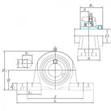 Bearing NAP205-15 KOYO