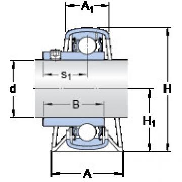 Bearing P 17 RM SKF