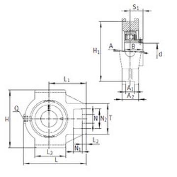 Bearing PTUEY60 INA