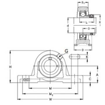 Bearing RASE100 NKE