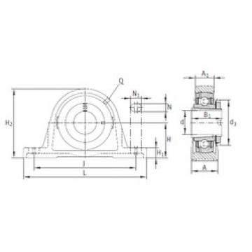 Bearing RASEA25-N INA