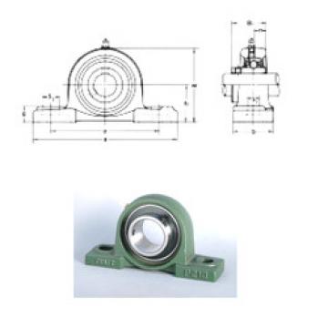 Bearing UCP203 CRAFT