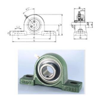 Bearing UCP309 CRAFT