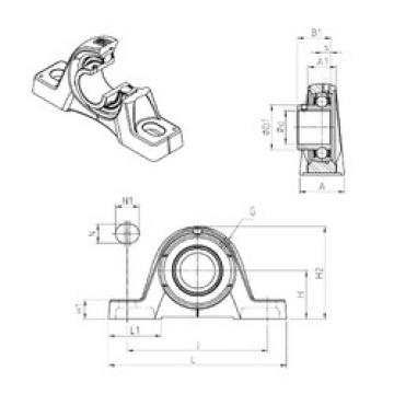 Bearing USPE201 SNR