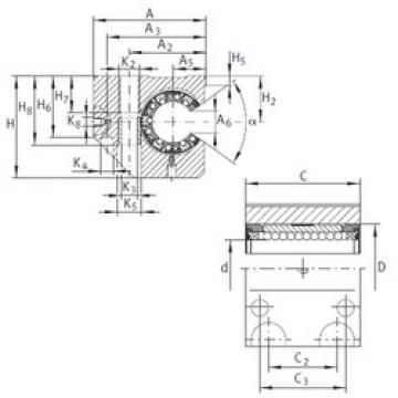 Bearing KGNC 40 C-PP-AS INA