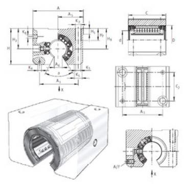 Bearing KGSNOS25-PP-AS INA