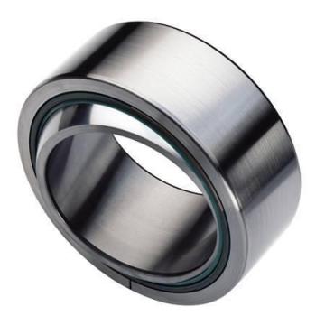 Bearing GE20ET/X-2RS AST