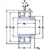 Bearing BS2-2226-2CS5K/VT143 + H 2326 L SKF