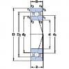 Bearing 7006 ACB/HCP4A SKF