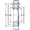 Bearing 719/8 ACE/P4A SKF #1 small image