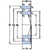 Bearing S7006 FW/HC SKF #5 small image