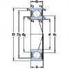 Bearing S71913 ACE/P4A SKF #5 small image