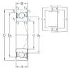 Bearing VEX 65 /S/NS 7CE3 SNFA