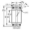 Bearing GE100ES-2RS AST