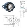 Bearing BLF201-8 FYH #1 small image