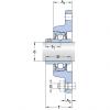 Bearing FYT 1.1/4 TF/VA201 SKF #1 small image