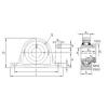 Bearing RASE80-AH01-FA164 INA