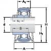 Bearing P 80 R-35 RM SKF