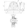 Bearing PASE1-1/8 INA