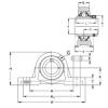 Bearing PASE25-N NKE