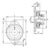 Bearing PCJT50-N-FA125 INA #1 small image