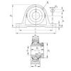 Bearing RAK1-1/4 INA