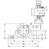 Bearing RASEY30-N NKE