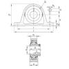 Bearing RASEY1-1/4-206 INA