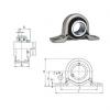 Bearing SBPP205-16 FYH #1 small image