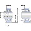 Bearing SY 1. TDW SKF #1 small image